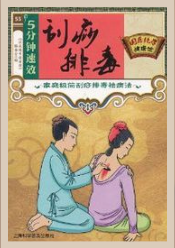 Guia Prático de Gua Sha : História • Sistema Linfático • Beleza Integrativa • Passo a Passo Por Daniela